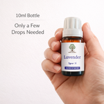 10ml diffuser oil bottle size and usage for home fragrance with aroma diffuser UK