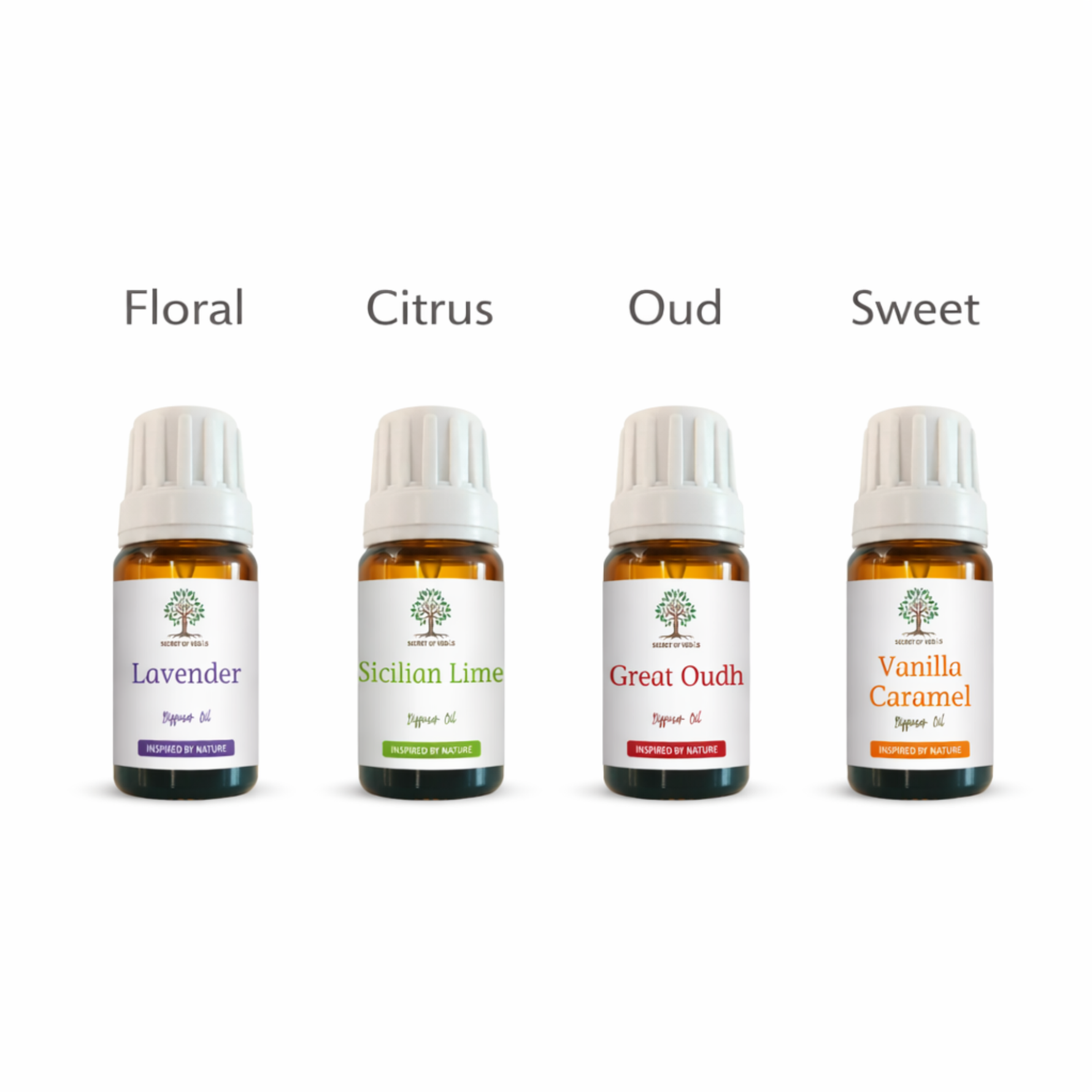 Diffuser oil fragrance types including floral citrus oud and sweet home fragrance oils UK