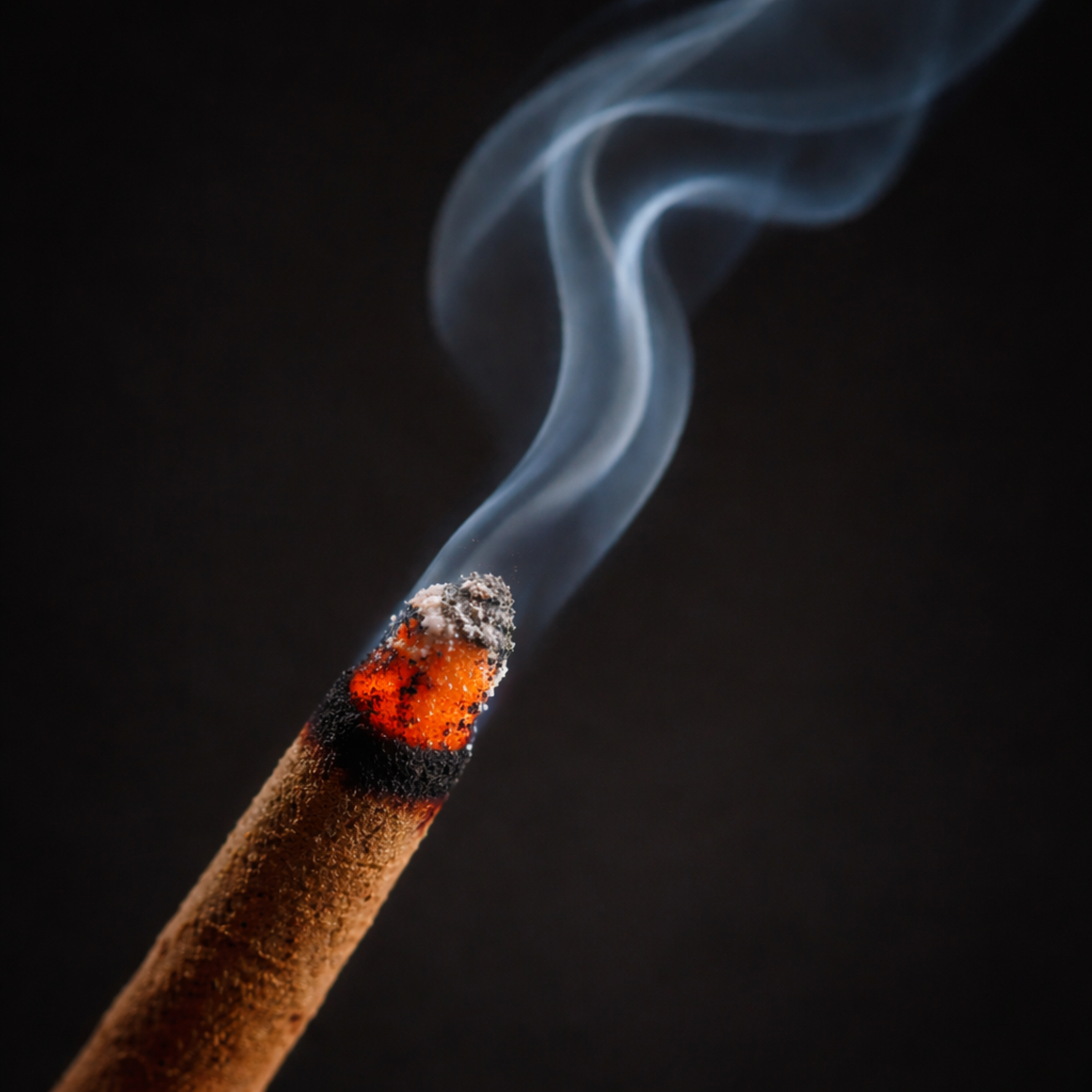 Kasturi incense sticks warm musky home fragrance for a rich and comforting atmosphere