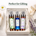 Lemongrass air freshener gift set fresh citrus home fragrance UK